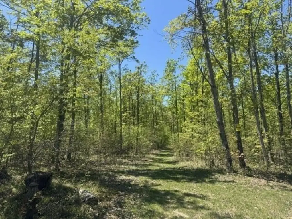 Picture 16