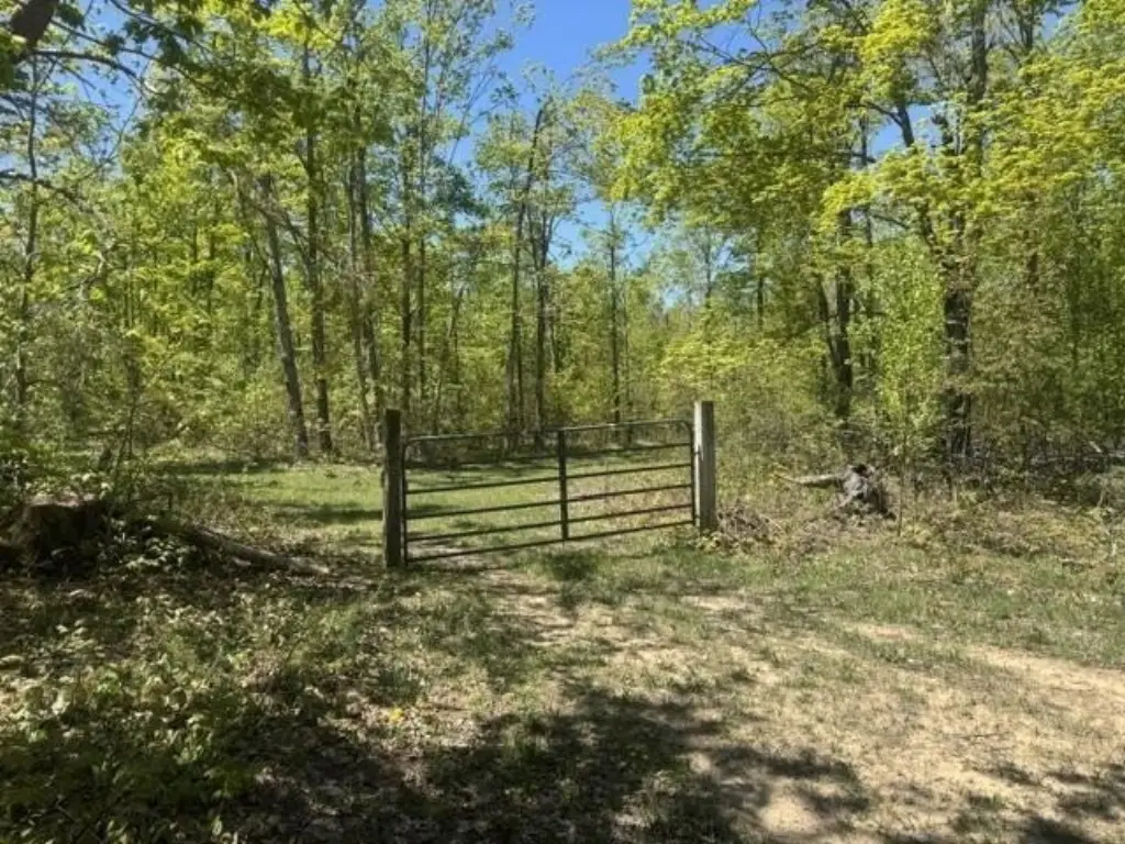 Picture 19