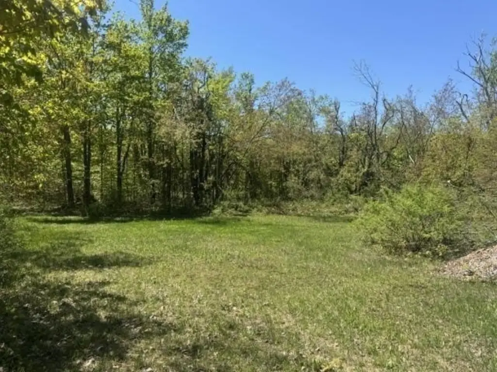Picture 20