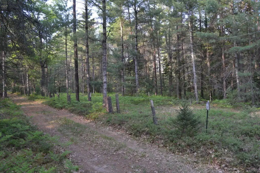 Picture 12
