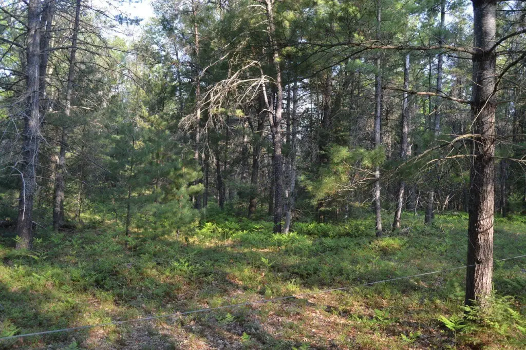 Picture 10