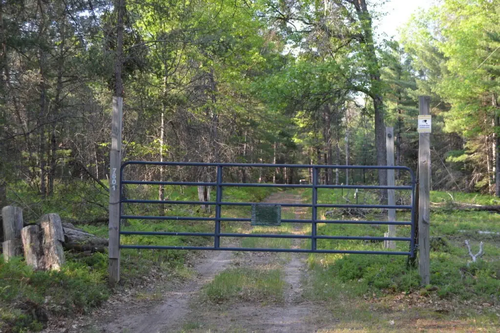 Picture 13