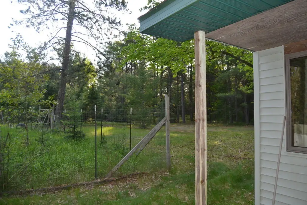 Picture 8