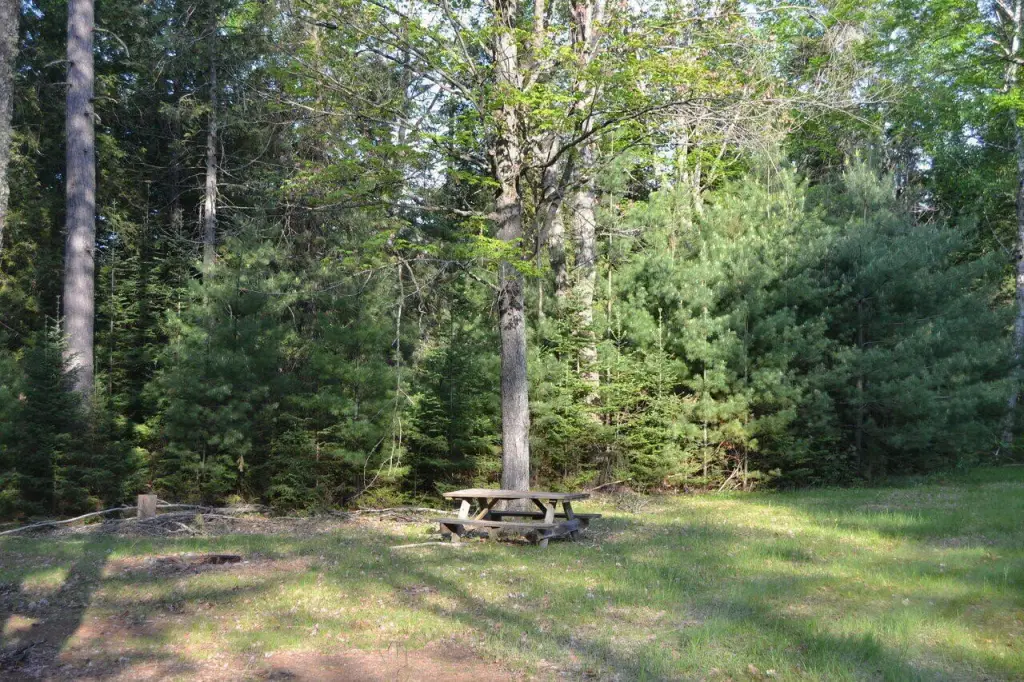 Picture 5