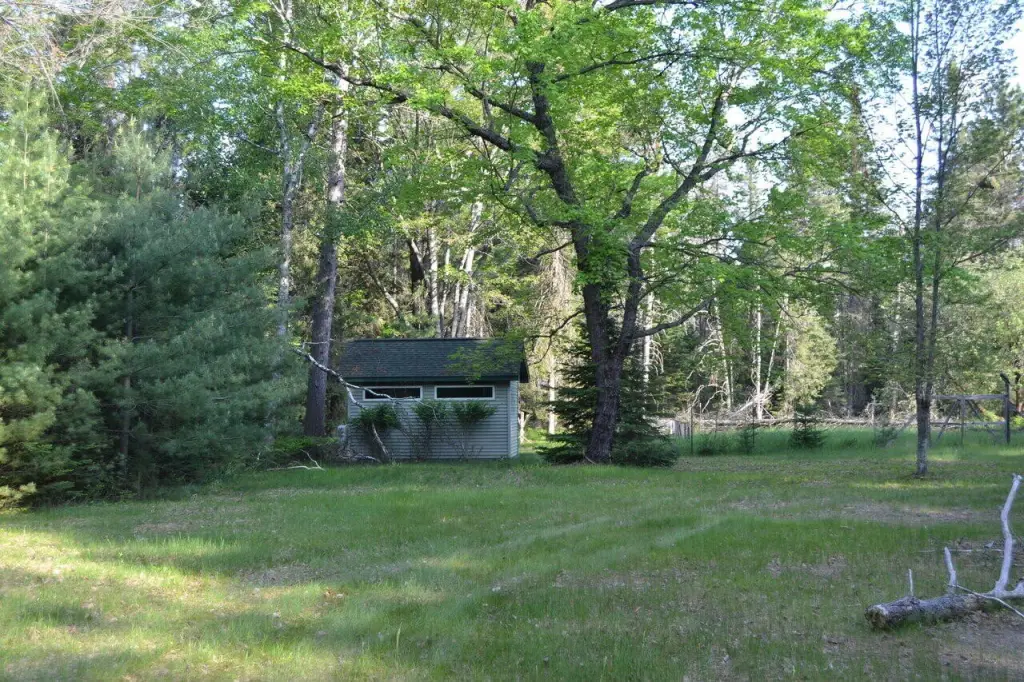 Picture 4