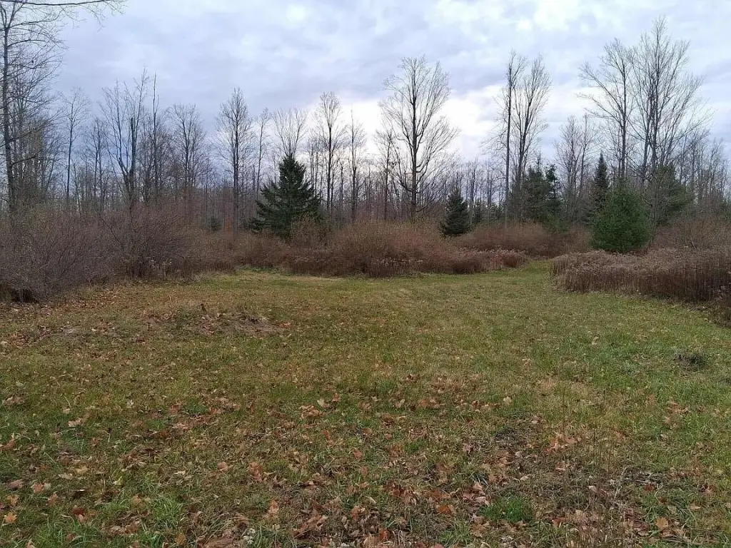 Picture 4