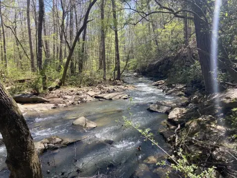 Cullman County Mini-Farm Opportunity