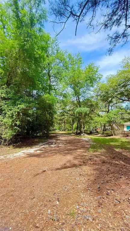 Picture 25