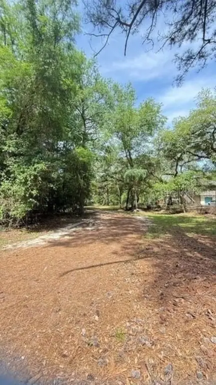 Picture 5