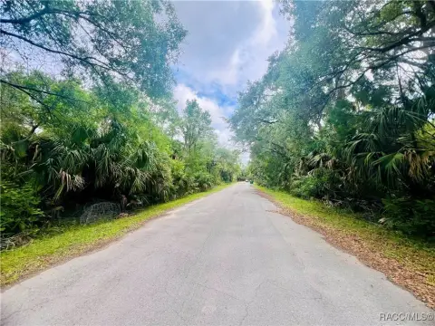 Crystal River Homesite on 1.18 Acres