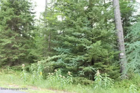 Pocono Lake Wooded Lot