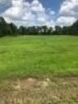 60.61 Acres Horse Farm Land