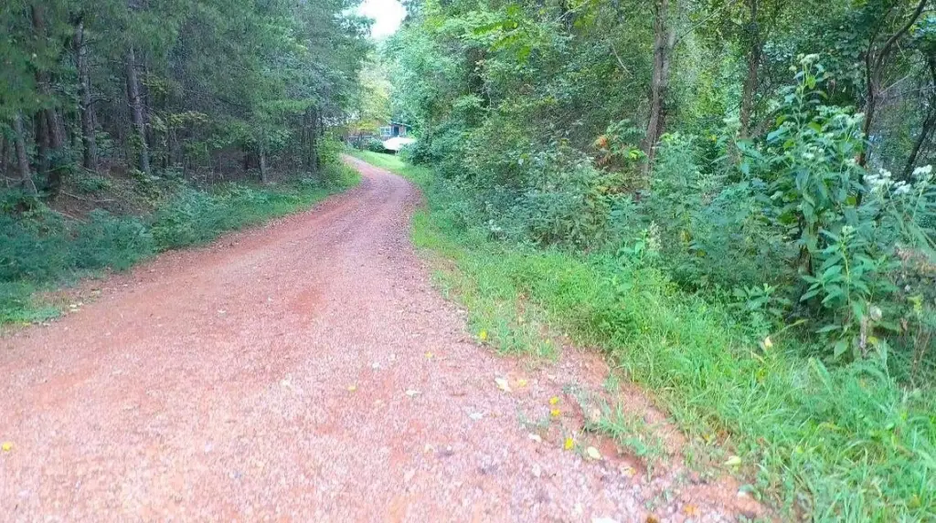 Picture 2