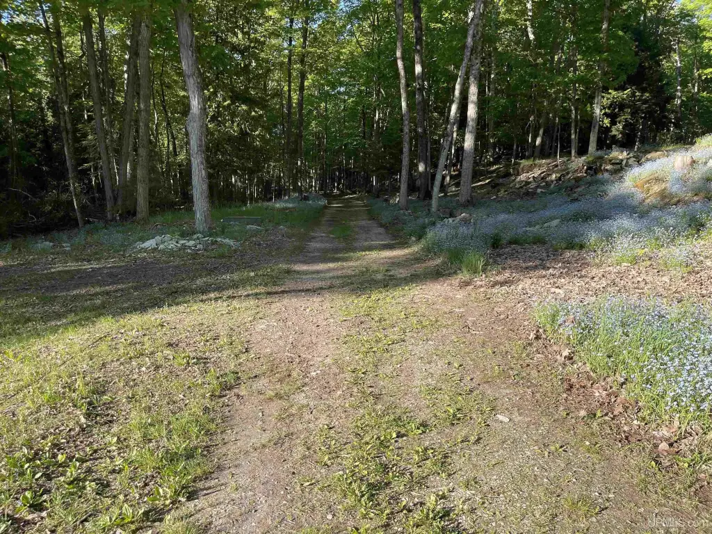 Picture 40