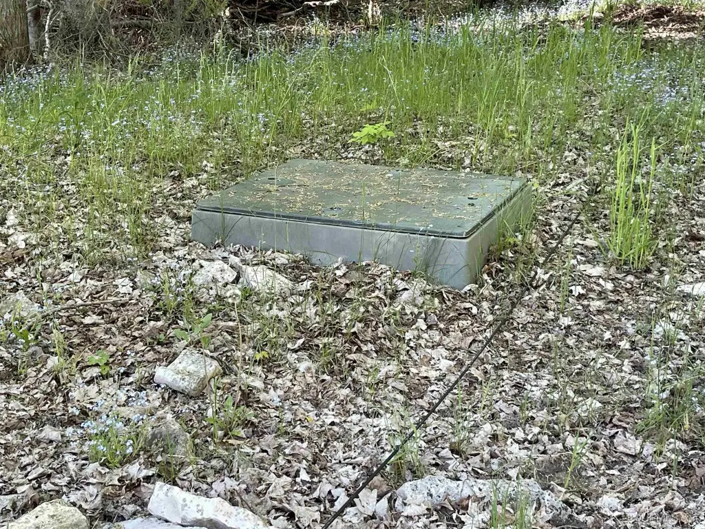 Picture 41