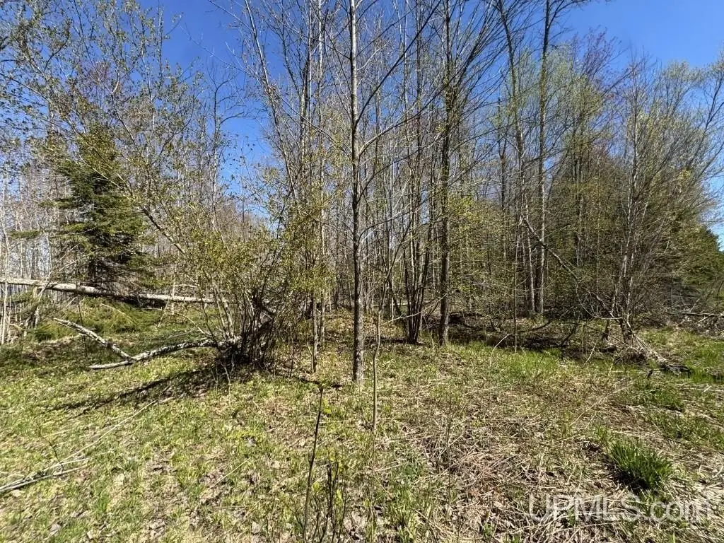 Picture 10
