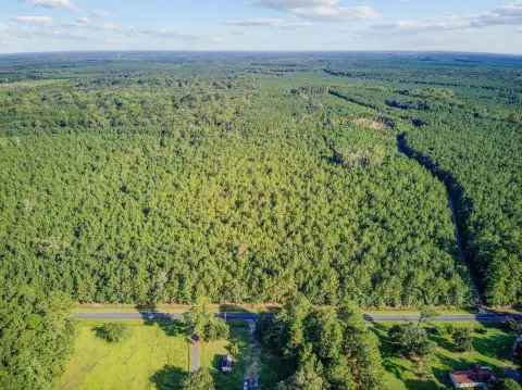 Ridgeville Land with Density Restrictions