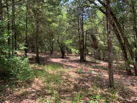 East Texas Acreage with Trees