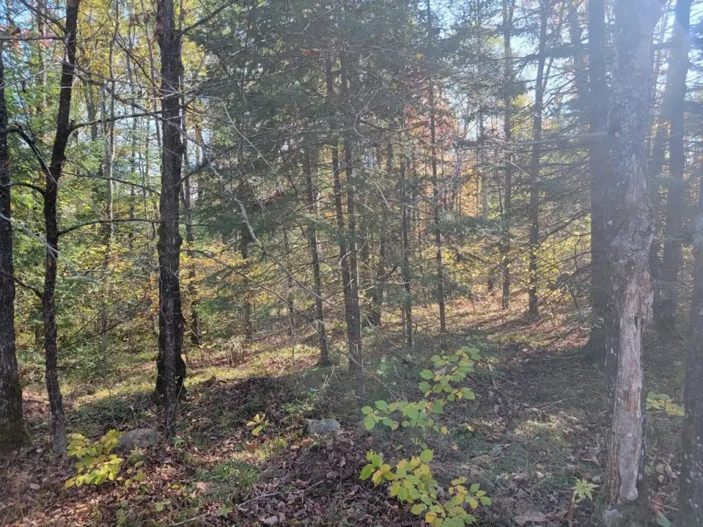 Picture 23
