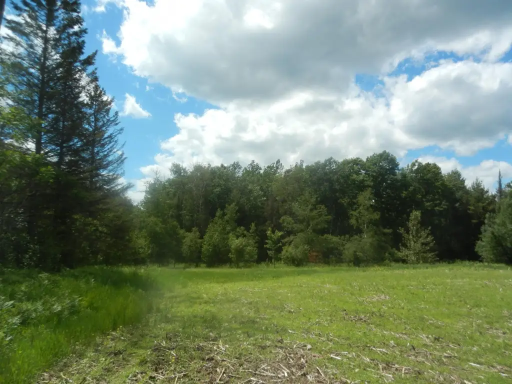 Picture 4