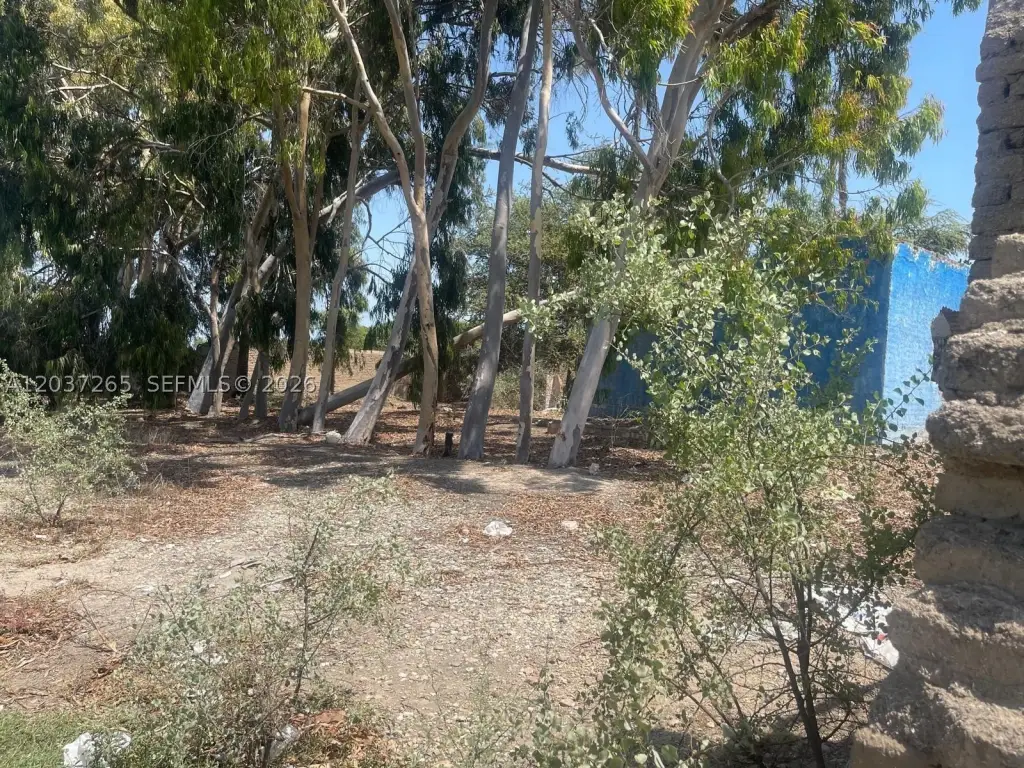 Picture 13