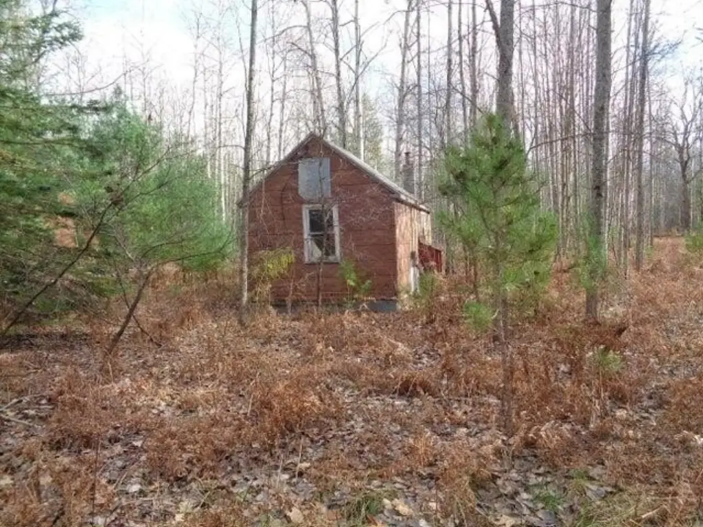 Picture 14