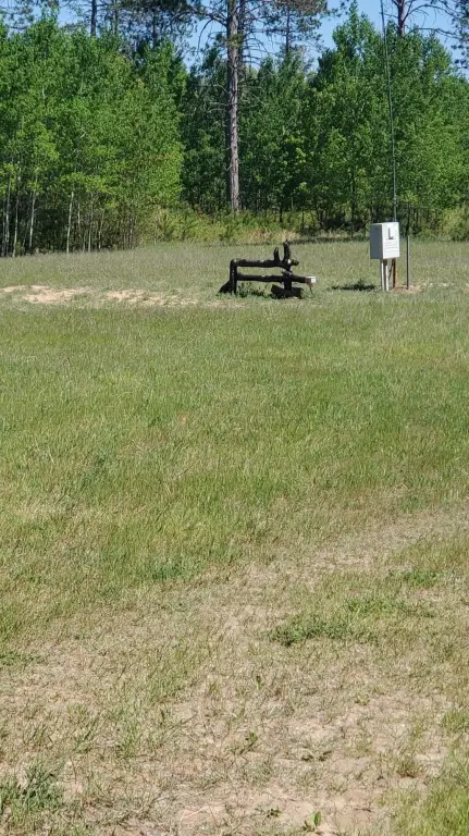 Picture 5