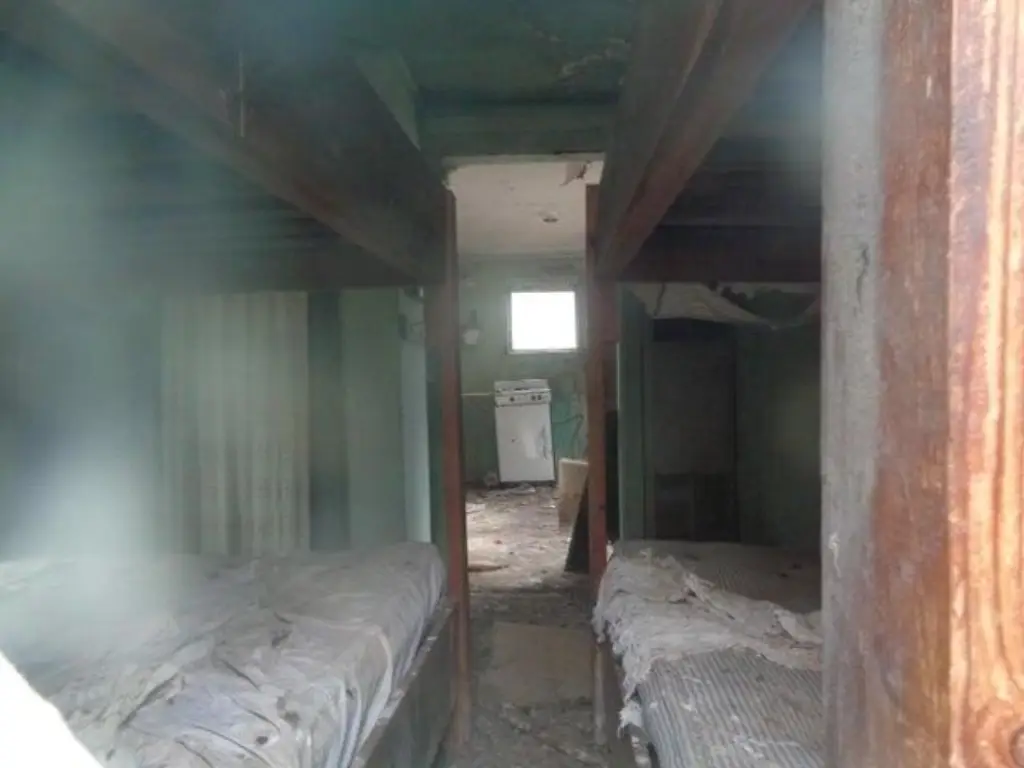 Picture 15