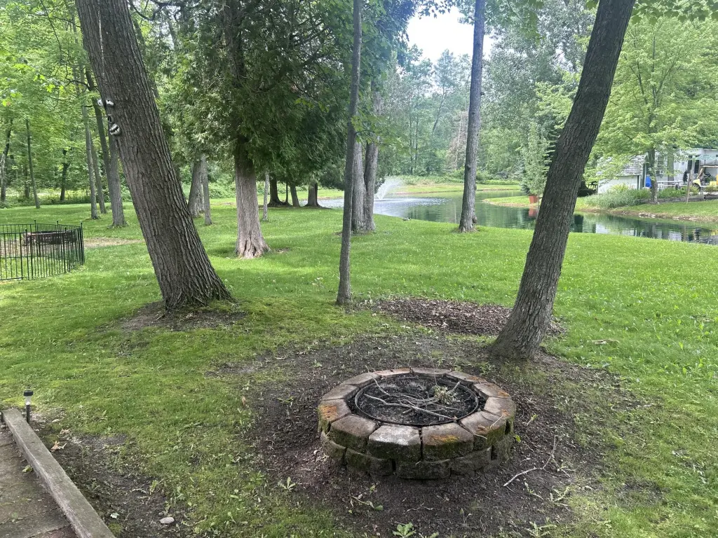 Picture 6