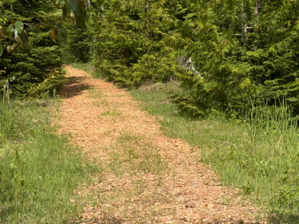 Picture 28