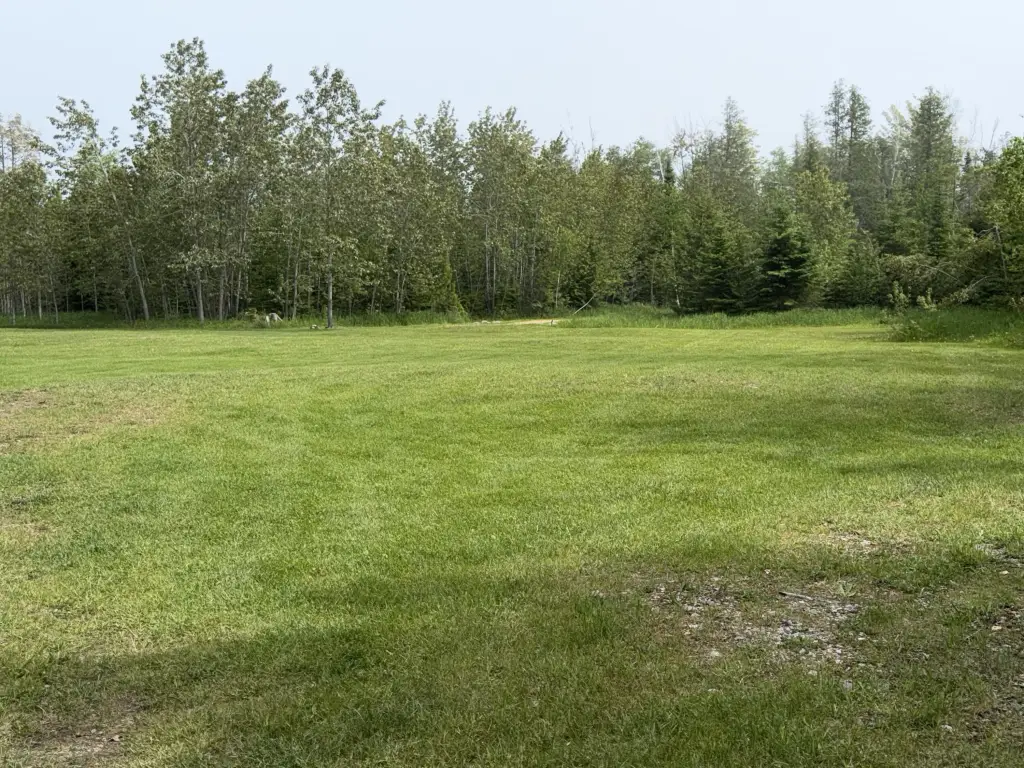Picture 20