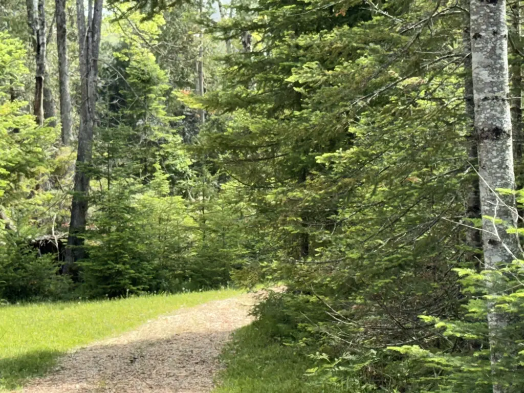 Picture 26