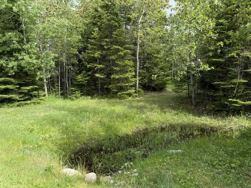 Picture 17