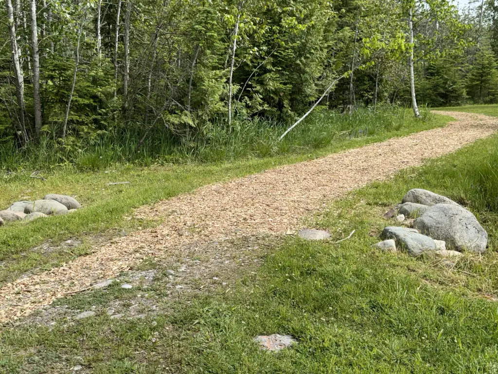 Picture 23