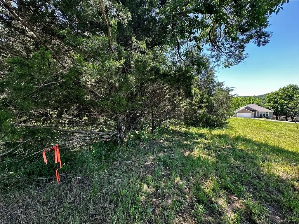 Picture 19