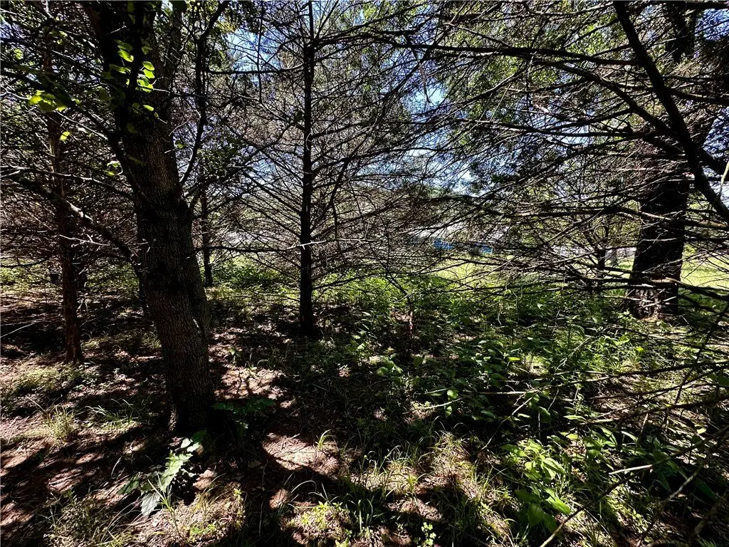 Picture 16