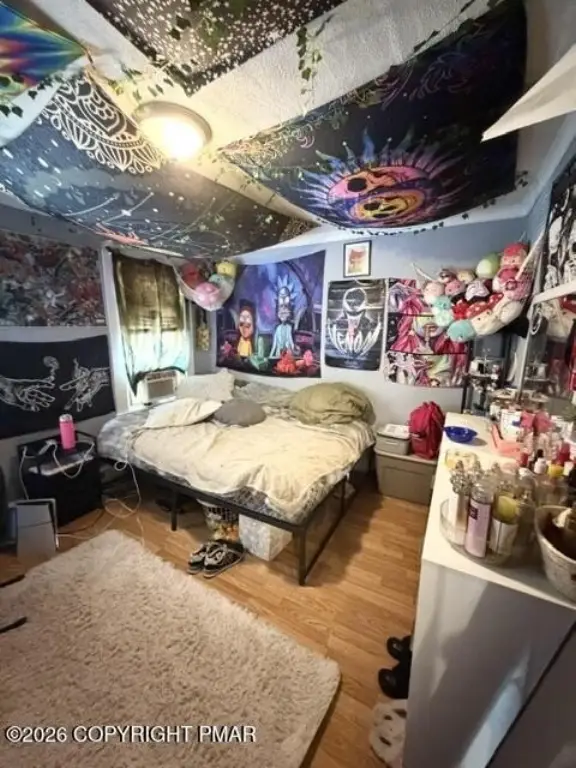 Picture 11