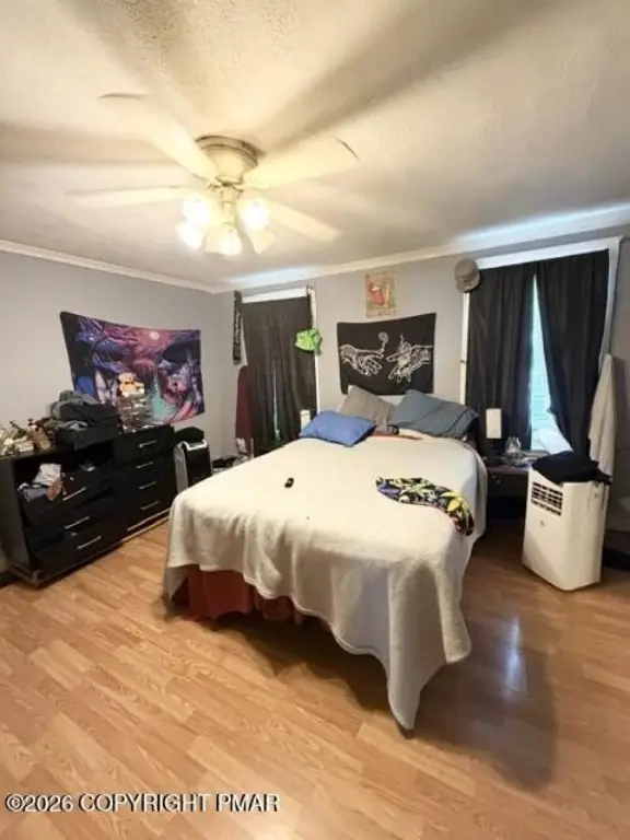 Picture 12