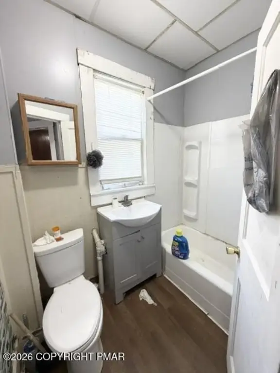 Picture 14