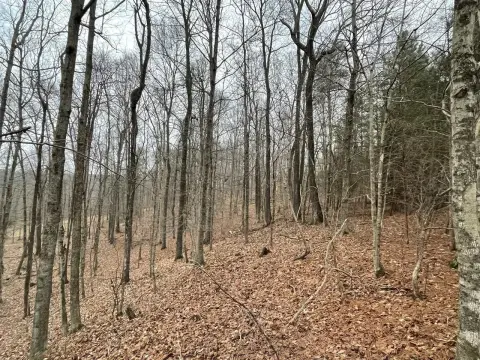 Lake Malone Building Lots