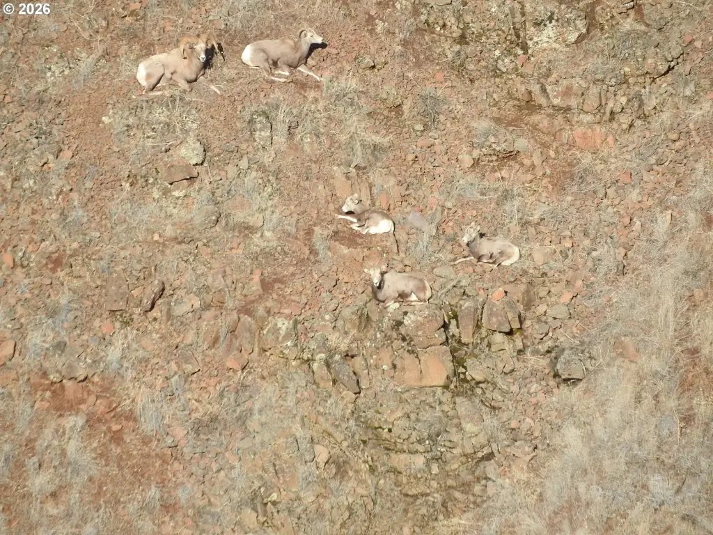 Picture 23