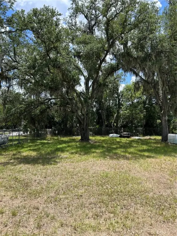 Picture 3