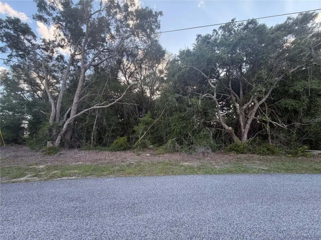 Picture 3