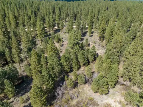 Placerville Land with Creek Frontage