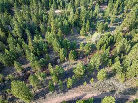 Placerville Land with Creek Frontage