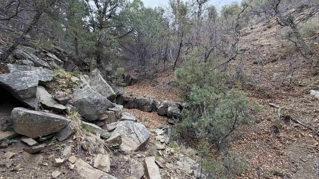 Picture 21