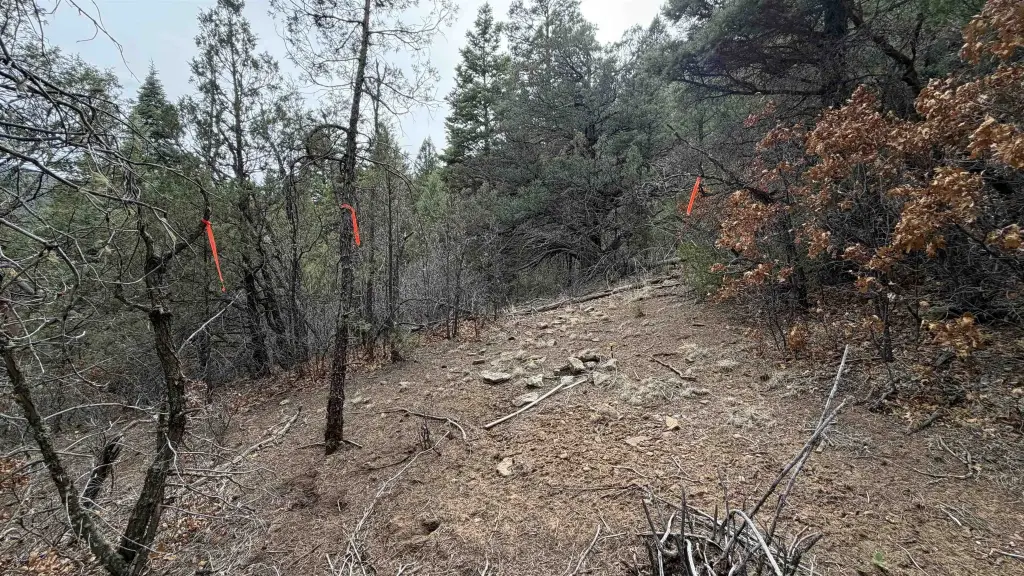 Picture 17