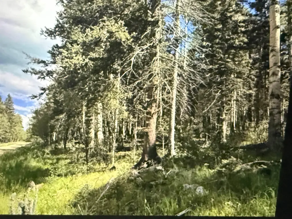 Picture 6