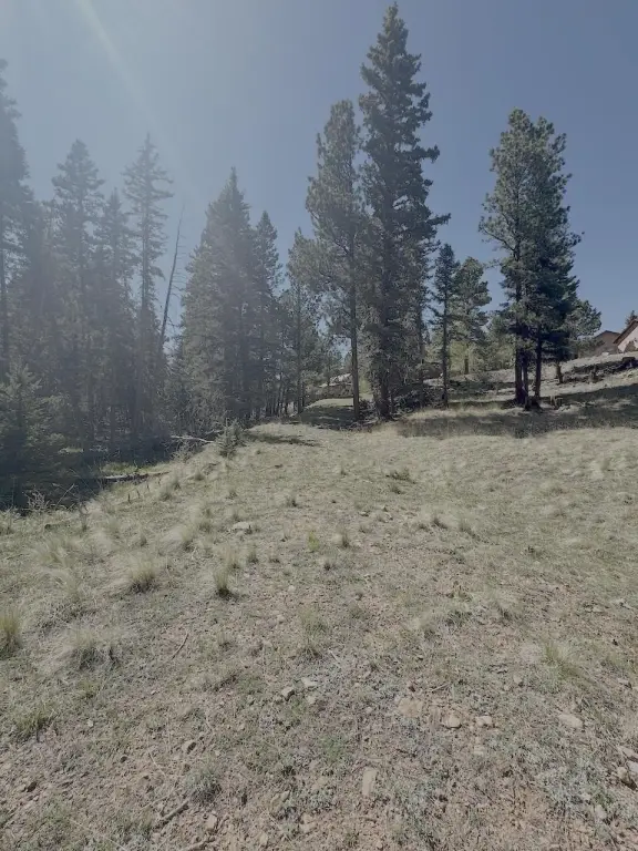 Picture 5