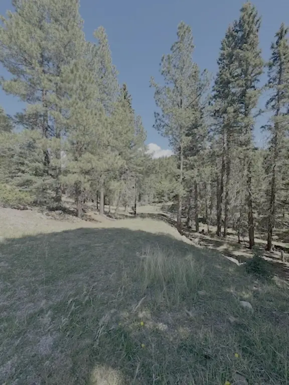 Picture 2